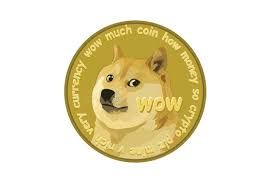 doge.jpg